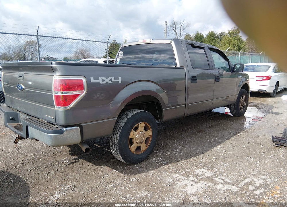 2013 FORD F-150 XLT VIN: 1FTFW1EF5DFC06820