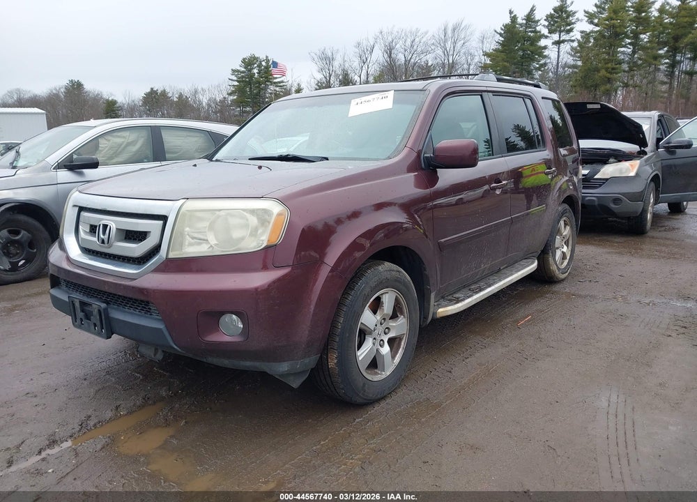 2009 HONDA PILOT EX-L VIN: 5FNYF48589B004871