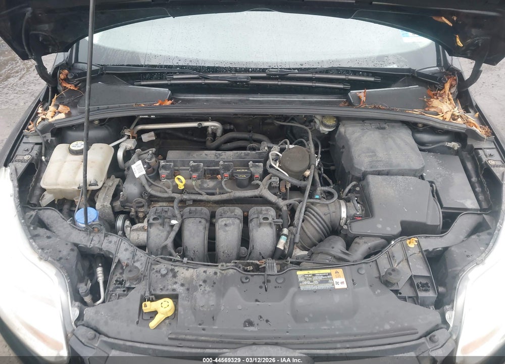 2013 FORD FOCUS SE VIN: 1FADP3F24DL269328
