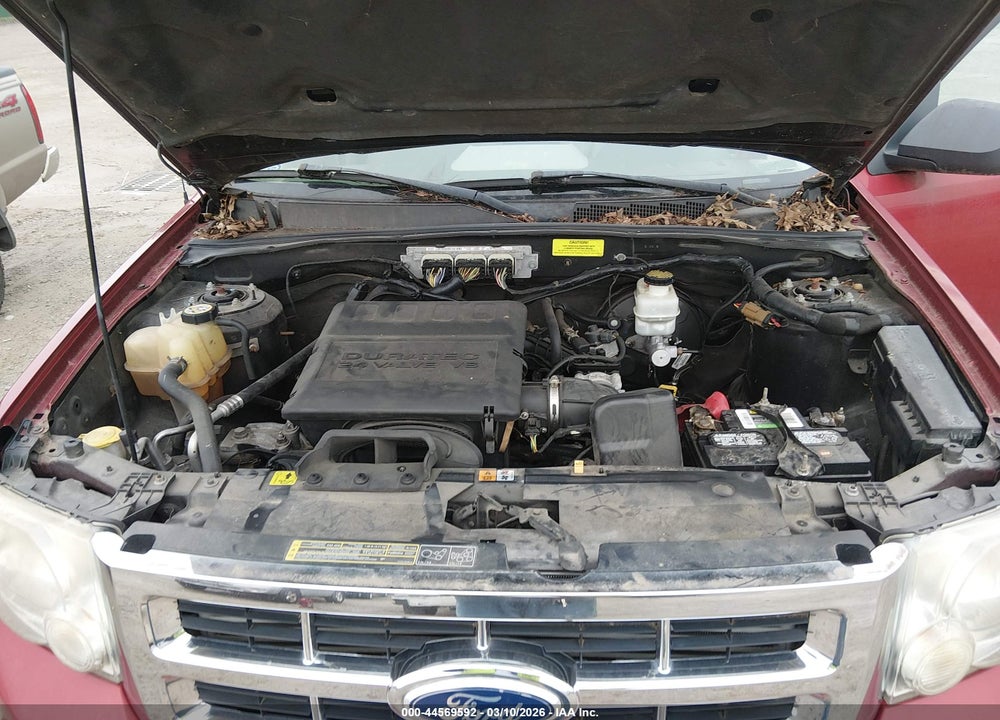 2010 FORD ESCAPE XLT VIN: 1FMCU0DG4AKD31836