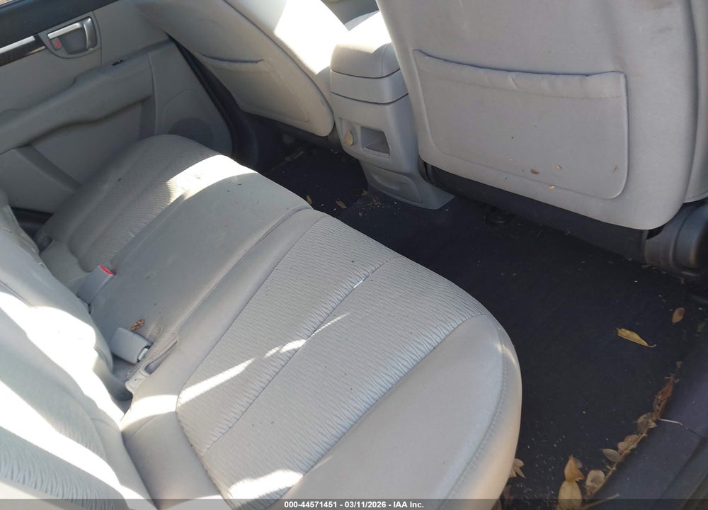 2009 HYUNDAI SANTA FE GLS VIN: 5NMSG13D49H301571