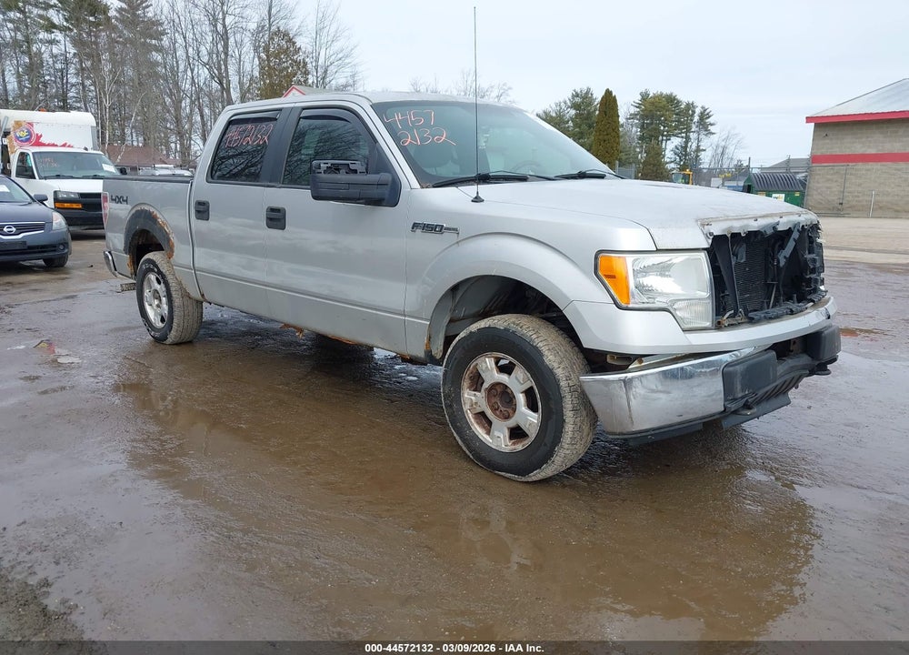 2009 FORD F-150 XLT VIN: 1FTRW14899FB19302