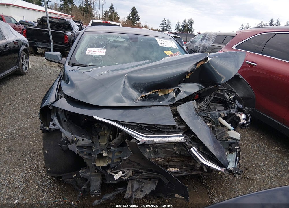 2019 CHEVROLET MALIBU LT VIN: 1G1ZD5ST1KF215394