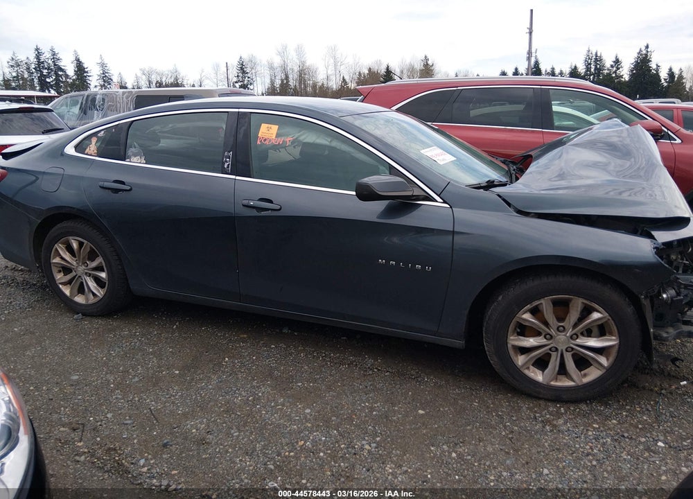 2019 CHEVROLET MALIBU LT VIN: 1G1ZD5ST1KF215394