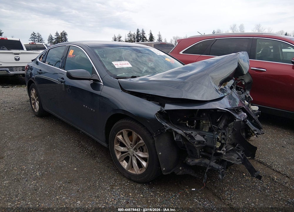 2019 CHEVROLET MALIBU LT VIN: 1G1ZD5ST1KF215394