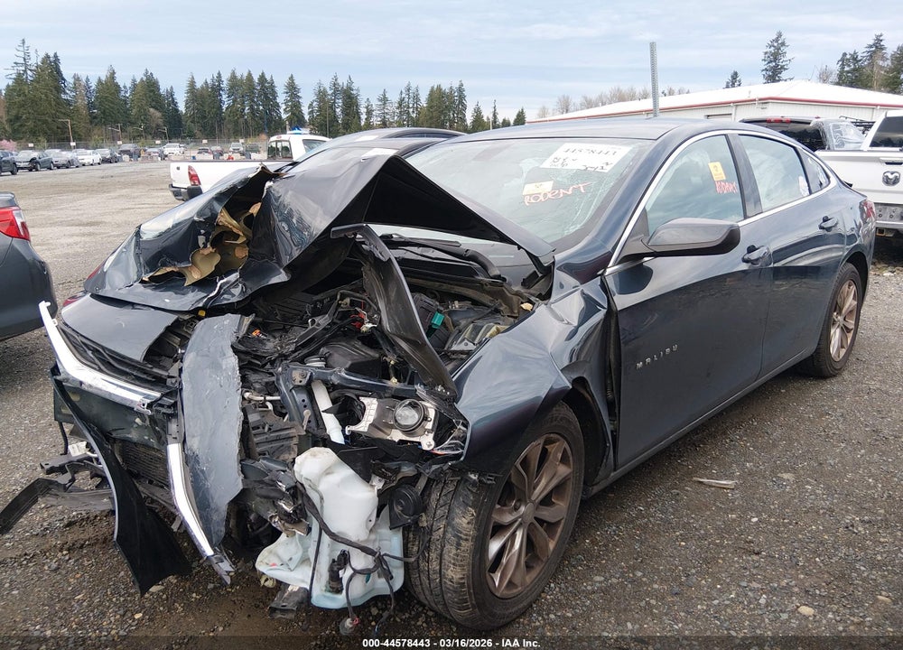 2019 CHEVROLET MALIBU LT VIN: 1G1ZD5ST1KF215394
