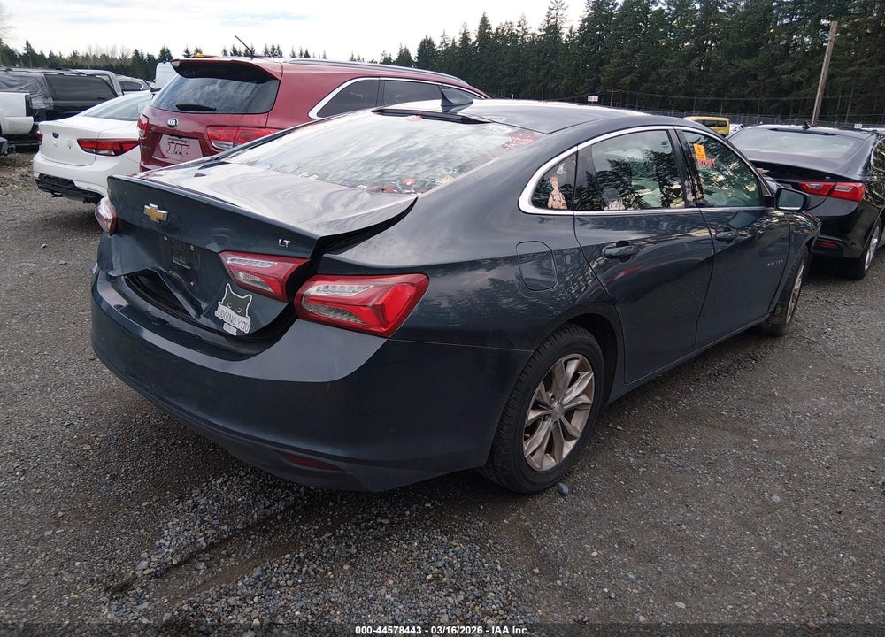 2019 CHEVROLET MALIBU LT VIN: 1G1ZD5ST1KF215394