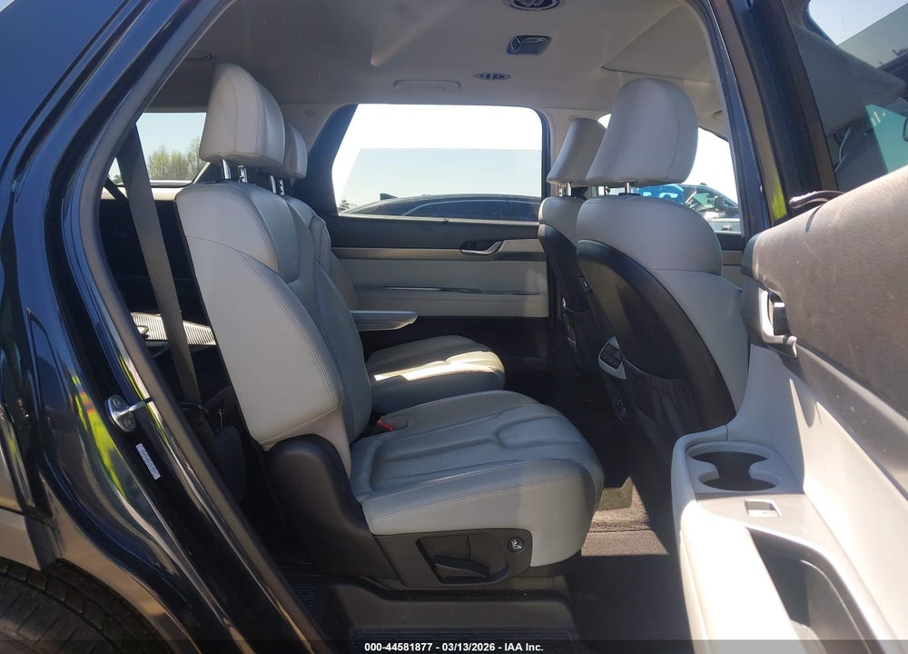 2020 HYUNDAI PALISADE SEL VIN: KM8R4DHEXLU039528