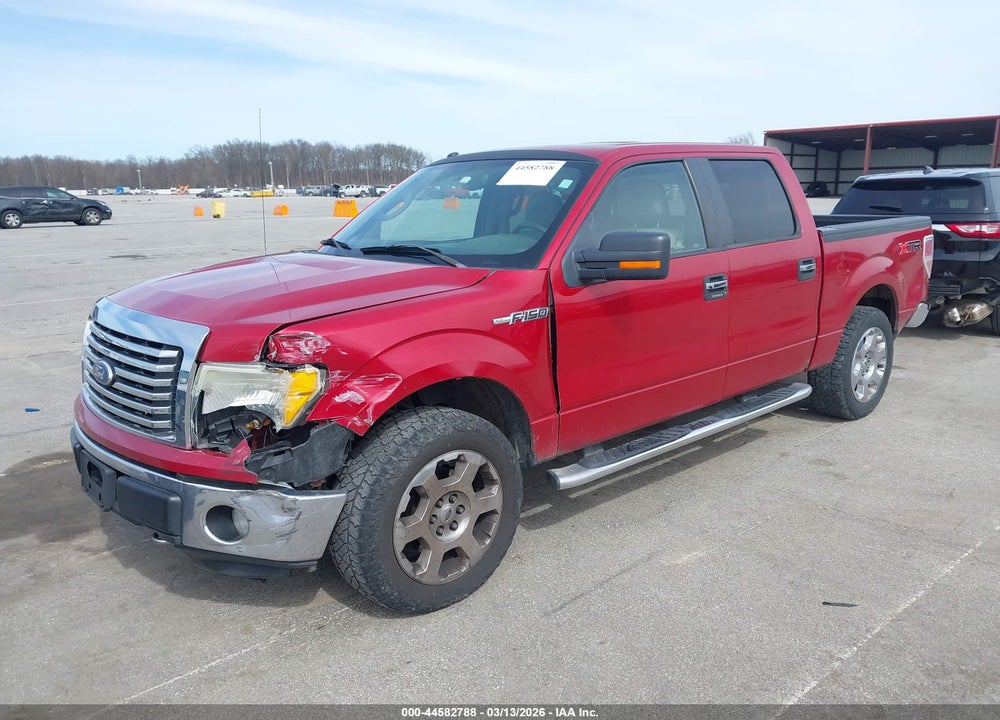 2010 FORD F-150 XLT VIN: 1FTFW1EV6AFD21445