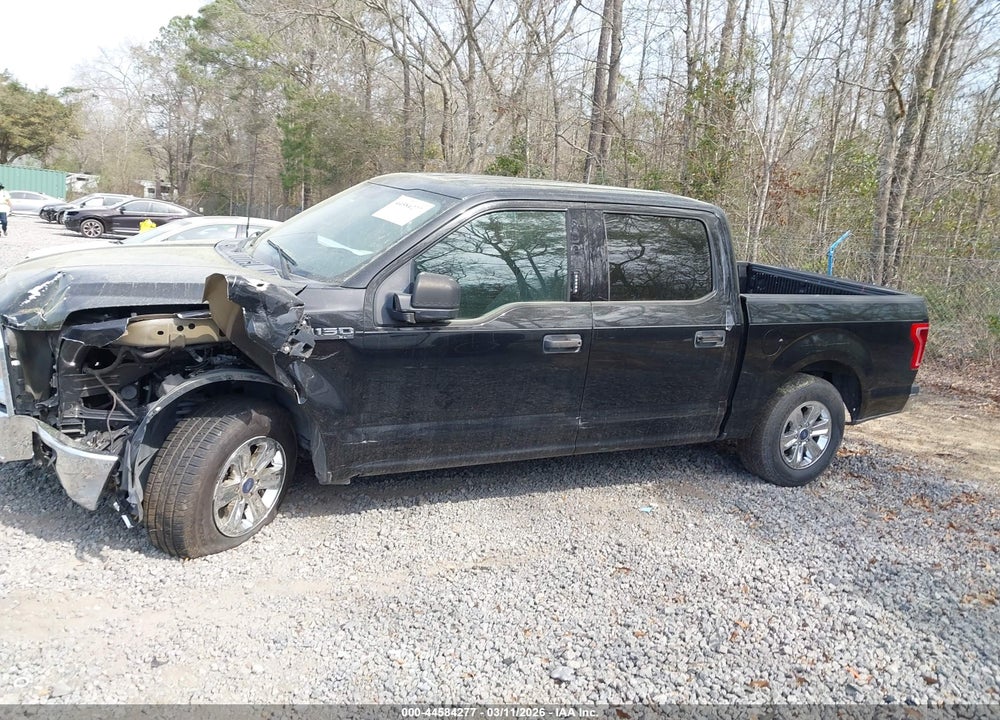 2015 FORD F-150 XLT VIN: 1FTEW1CF3FFA58457