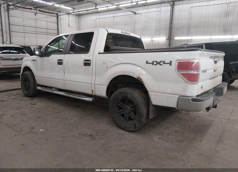 2011 FORD F-150 XLT VIN: 1FTFW1EF7BKE17649