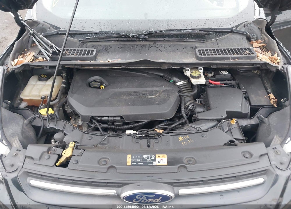 2014 FORD ESCAPE SE VIN: 1FMCU0GX0EUB13155