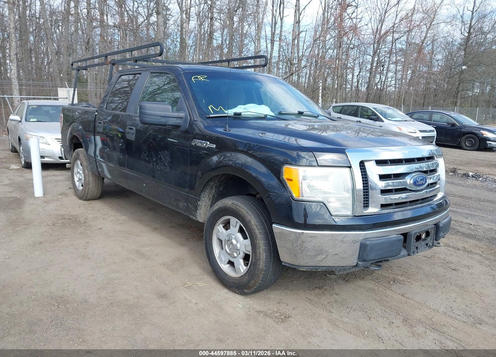 2010 FORD F-150 XLT VIN: 1FTEW1E80AFB20825