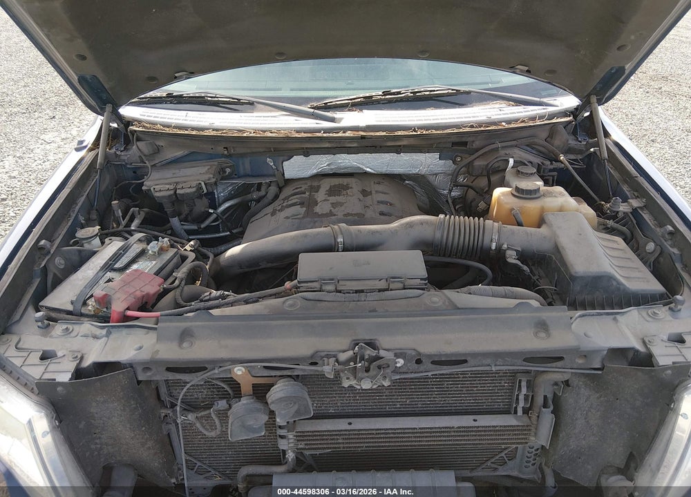2011 FORD F-150 XLT VIN: 1FTFW1ET7BKD49570