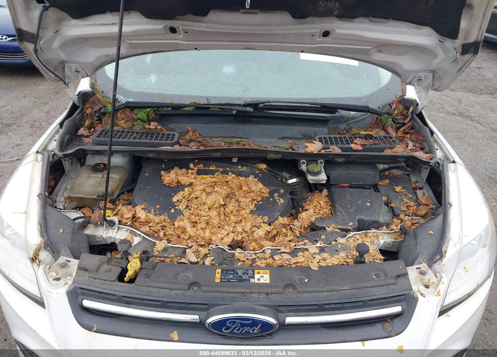 2016 FORD ESCAPE SE VIN: 1FMCU0GX4GUB61129
