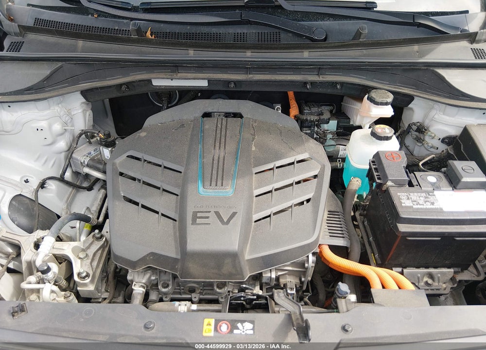 2019 KIA NIRO EV EX VIN: KNDCC3LG1K5019483