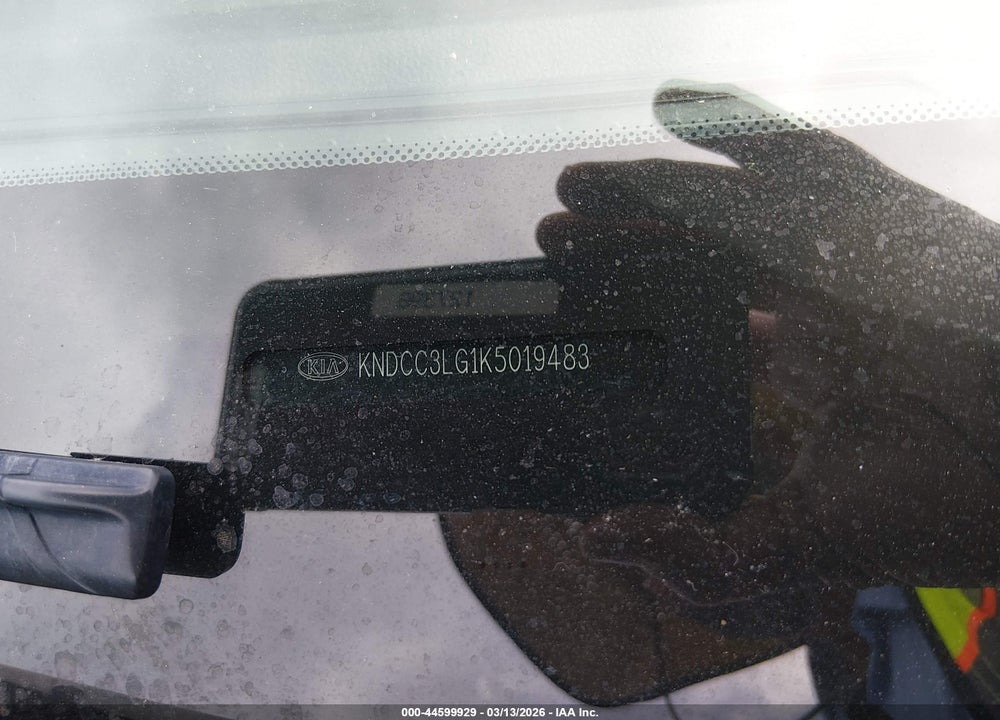 2019 KIA NIRO EV EX VIN: KNDCC3LG1K5019483