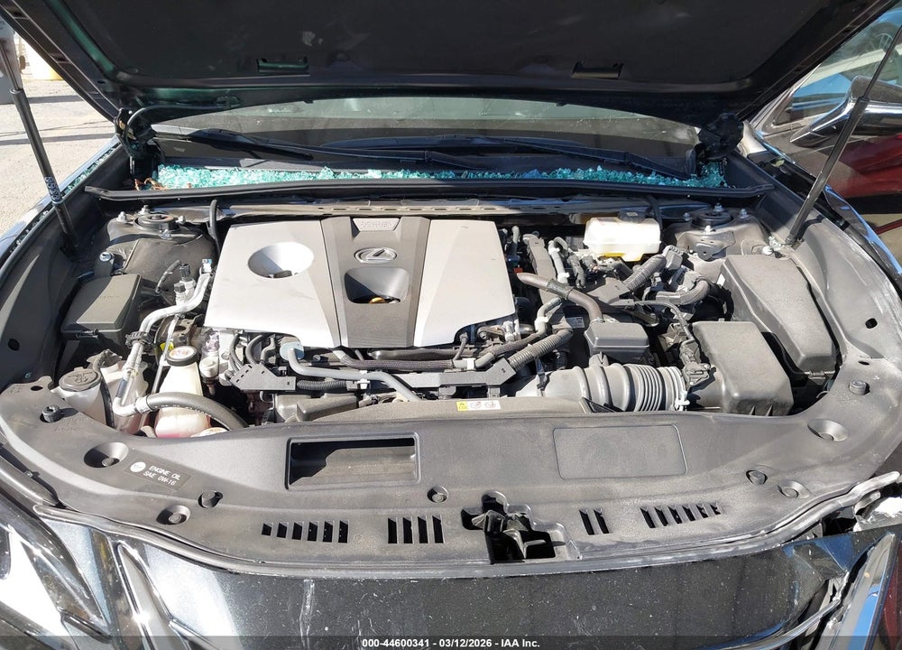 2020 LEXUS ES 300H VIN: 58AD21B19LU011717
