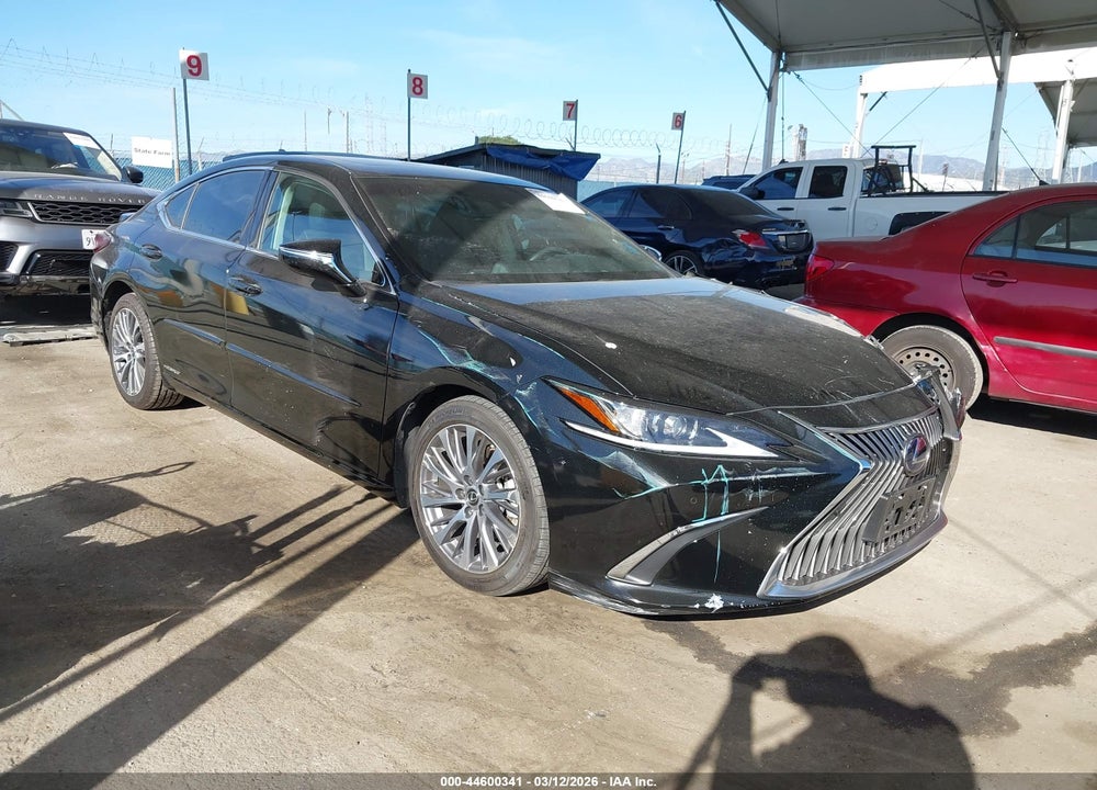 2020 LEXUS ES 300H VIN: 58AD21B19LU011717