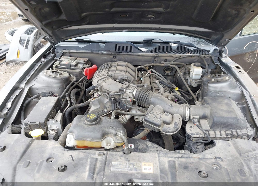 2013 FORD MUSTANG V6 VIN: 1ZVBP8AM6D5226439