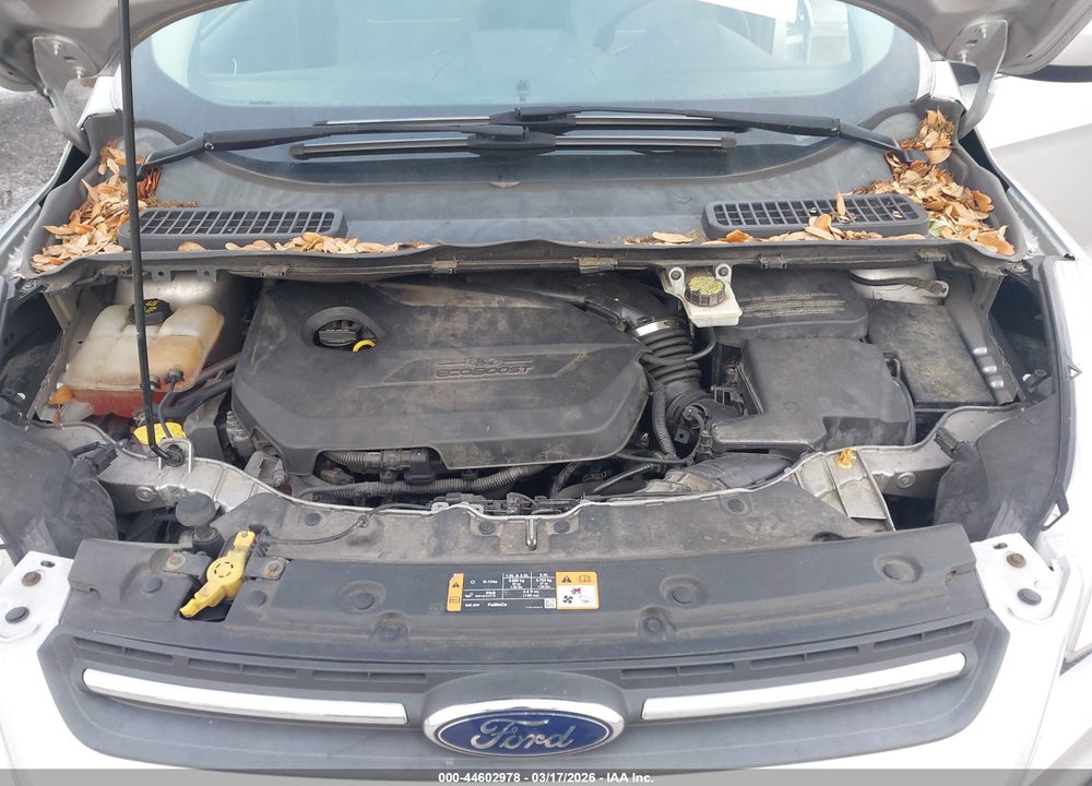 2014 FORD ESCAPE SE VIN: 1FMCU0GXXEUD86166