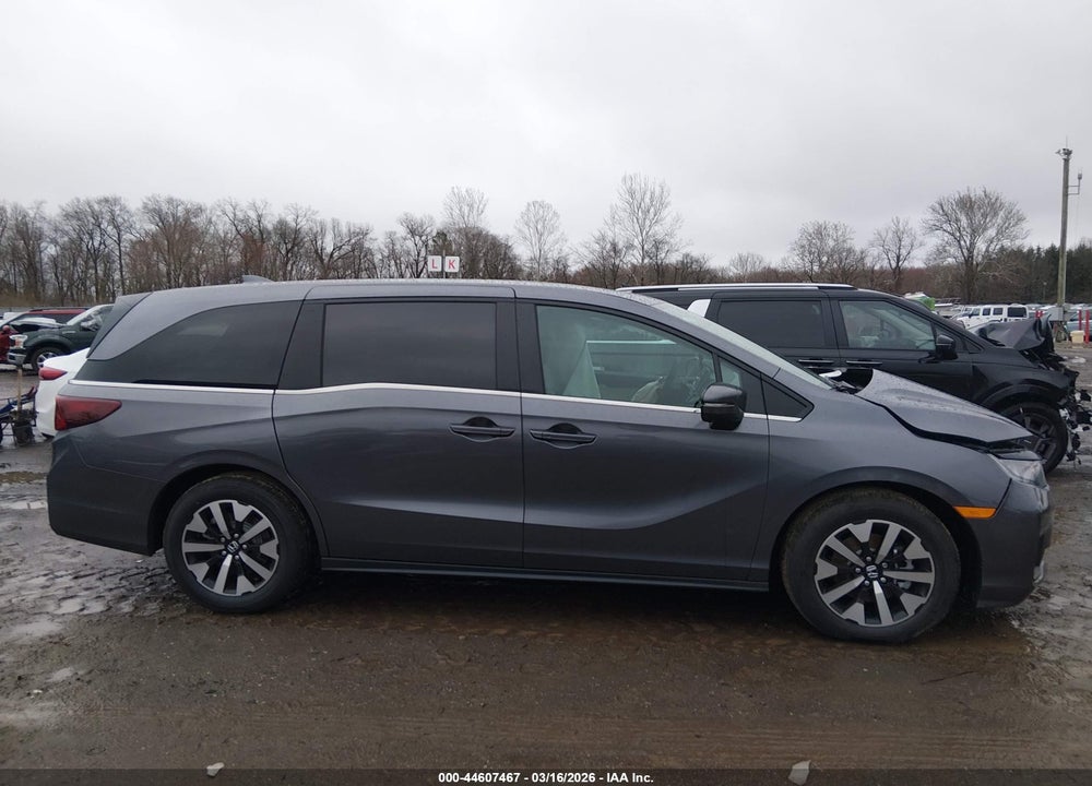 2026 HONDA ODYSSEY EX-L VIN: 5FNRL6H60TB029305