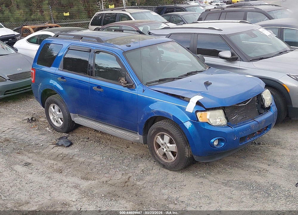 2011 FORD ESCAPE XLT VIN: 1FMCU0DG1BKB89172
