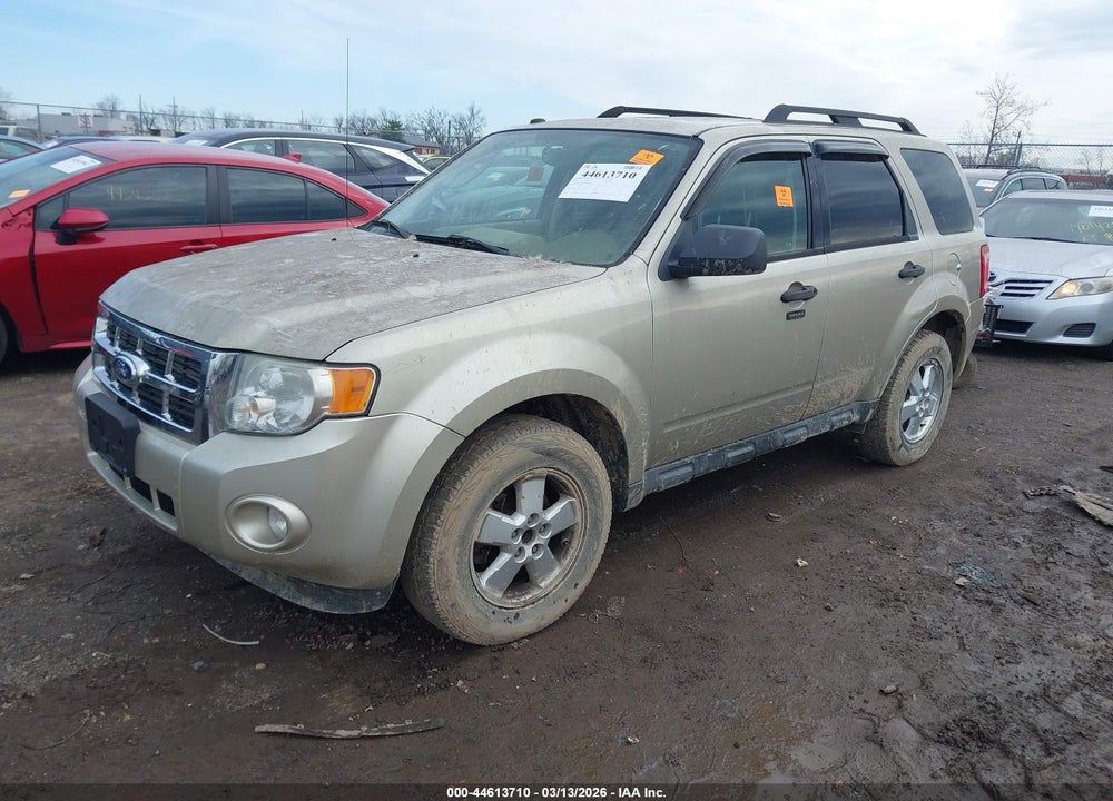 2010 FORD ESCAPE XLT VIN: 1FMCU9DG5AKB30208