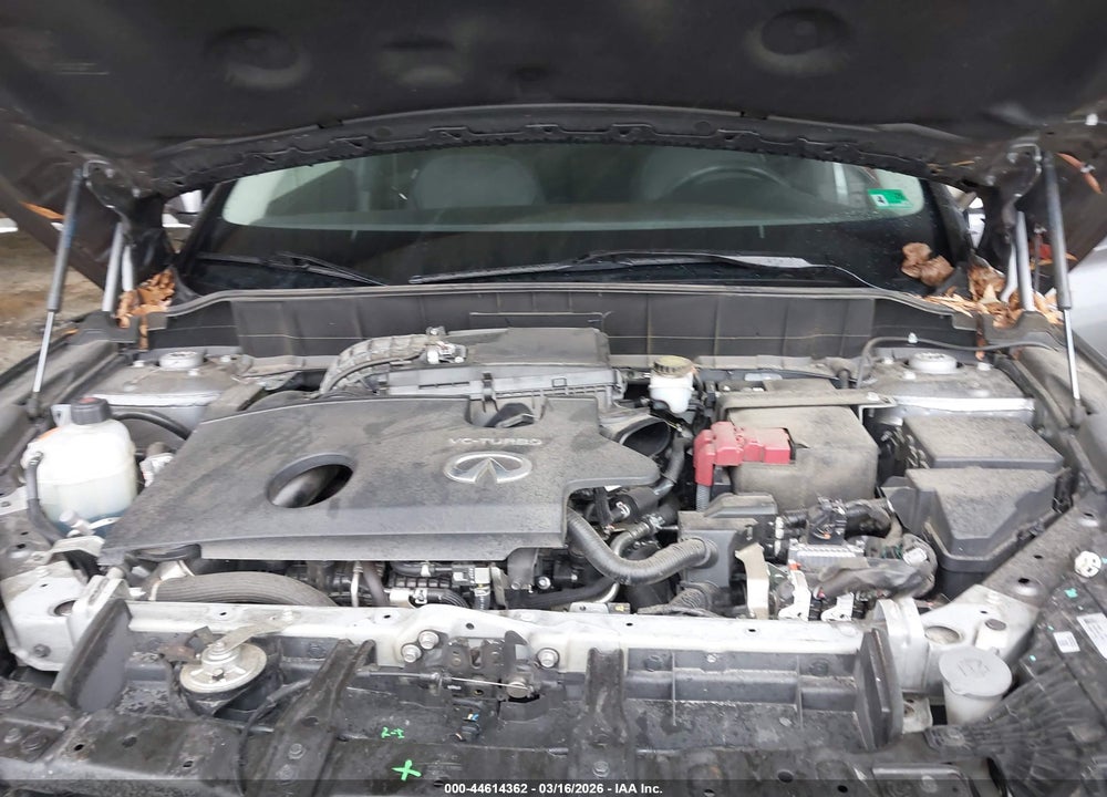 2019 INFINITI QX50 LUXE VIN: 3PCAJ5M16KF135604