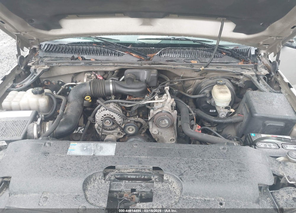 2006 CHEVROLET SILVERADO 1500 WORK TRUCK VIN: 1GCEC19X46Z232074