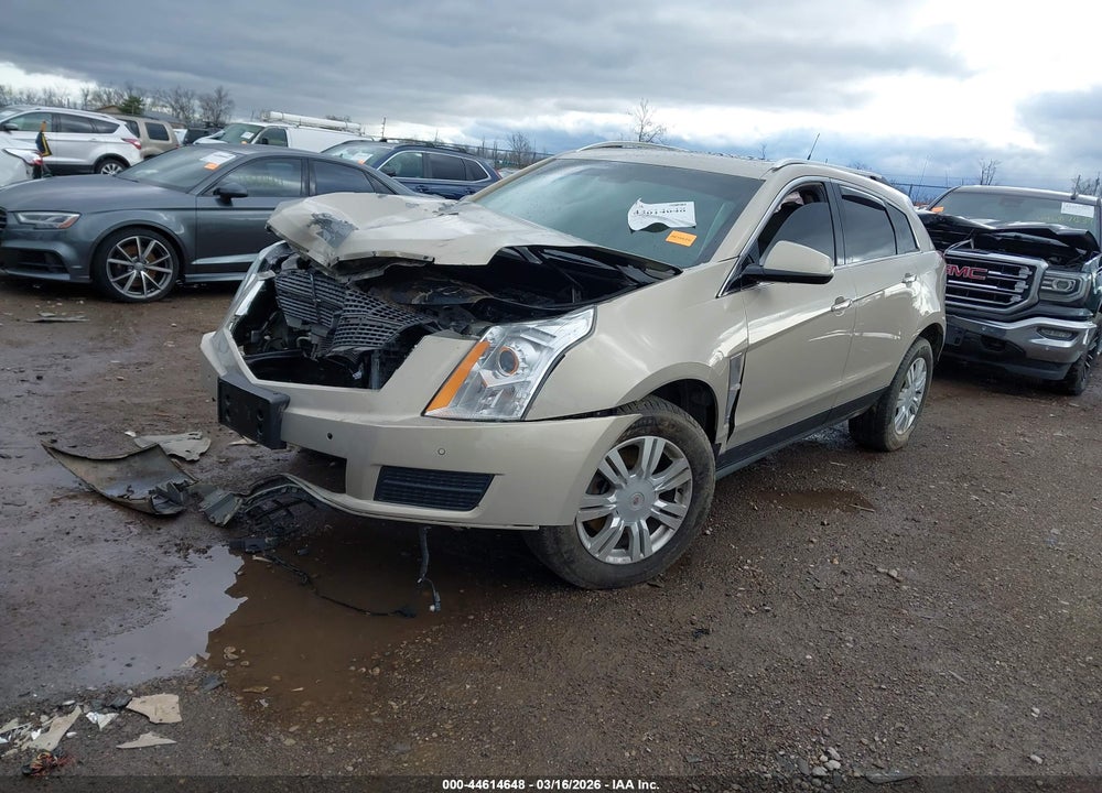 2011 CADILLAC SRX LUXURY COLLECTION VIN: 3GYFNAEY0BS647181