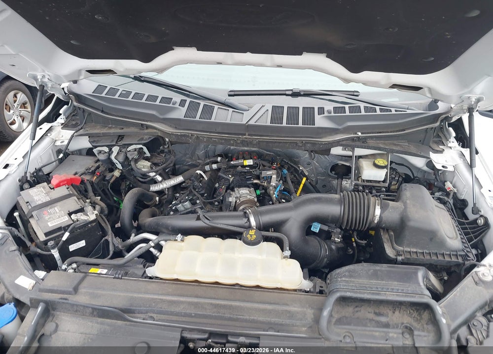 2021 FORD F-150 XLT VIN: 1FTEW1EP8MKE97860