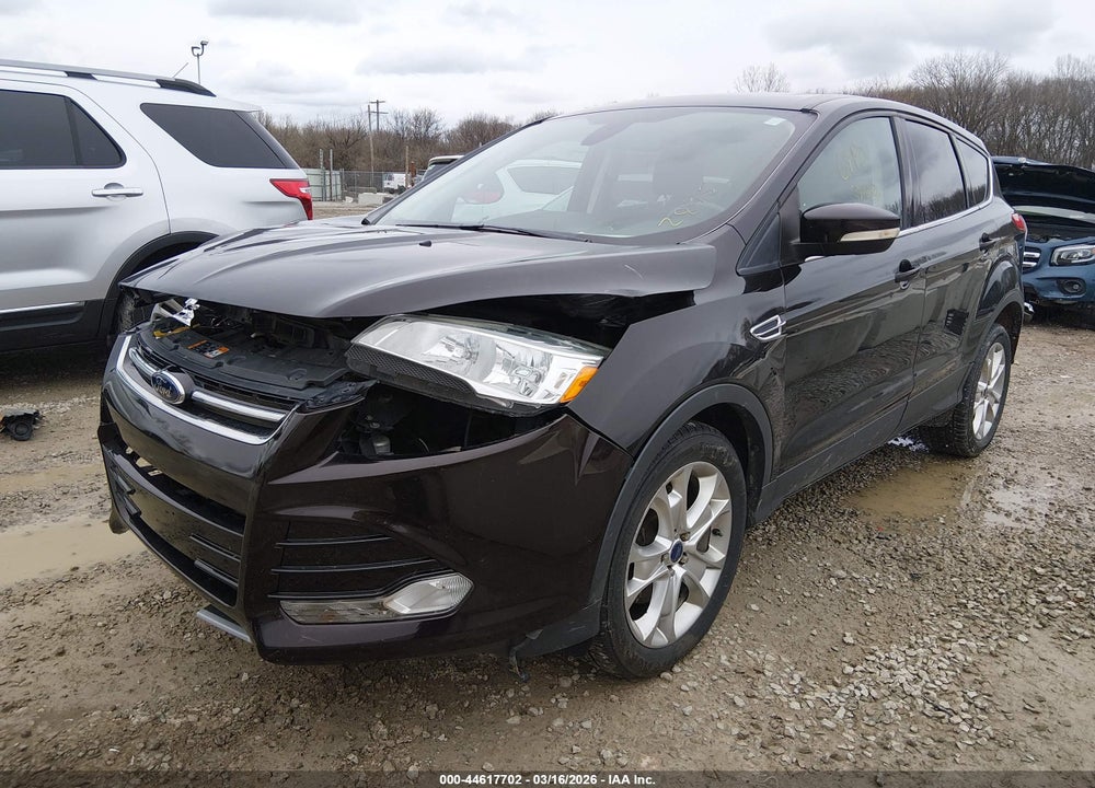 2013 FORD ESCAPE SEL VIN: 1FMCU0H98DUD02845