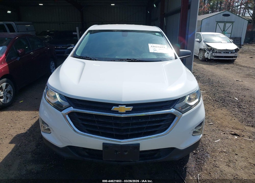 2019 CHEVROLET EQUINOX LS VIN: 2GNAXSEV8K6171810