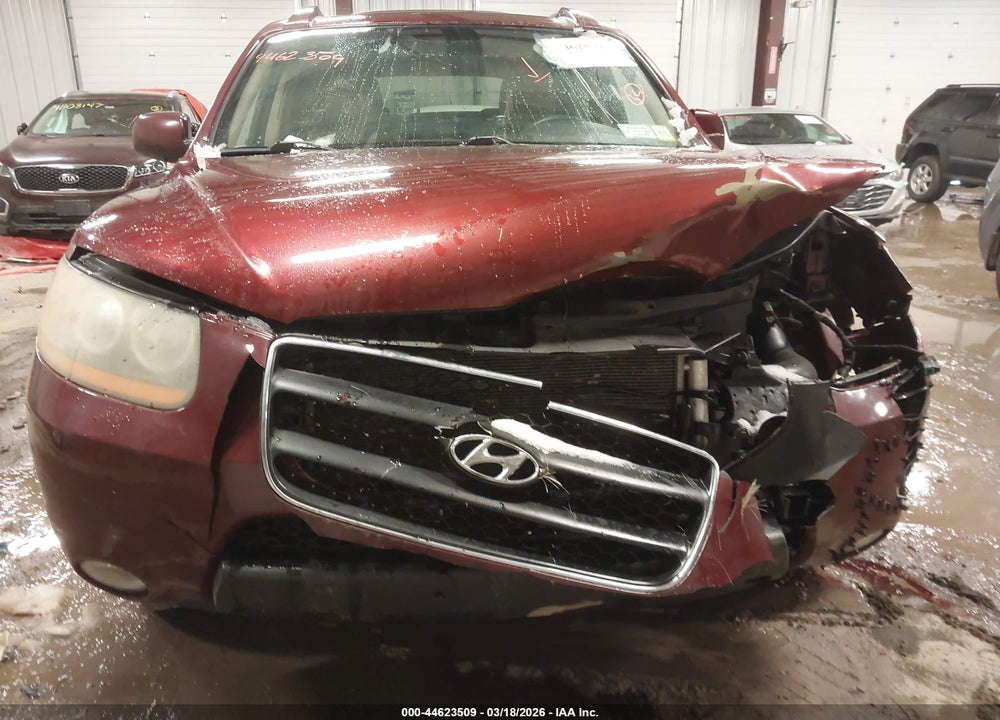 2009 HYUNDAI SANTA FE SE VIN: 5NMSH13E79H251142
