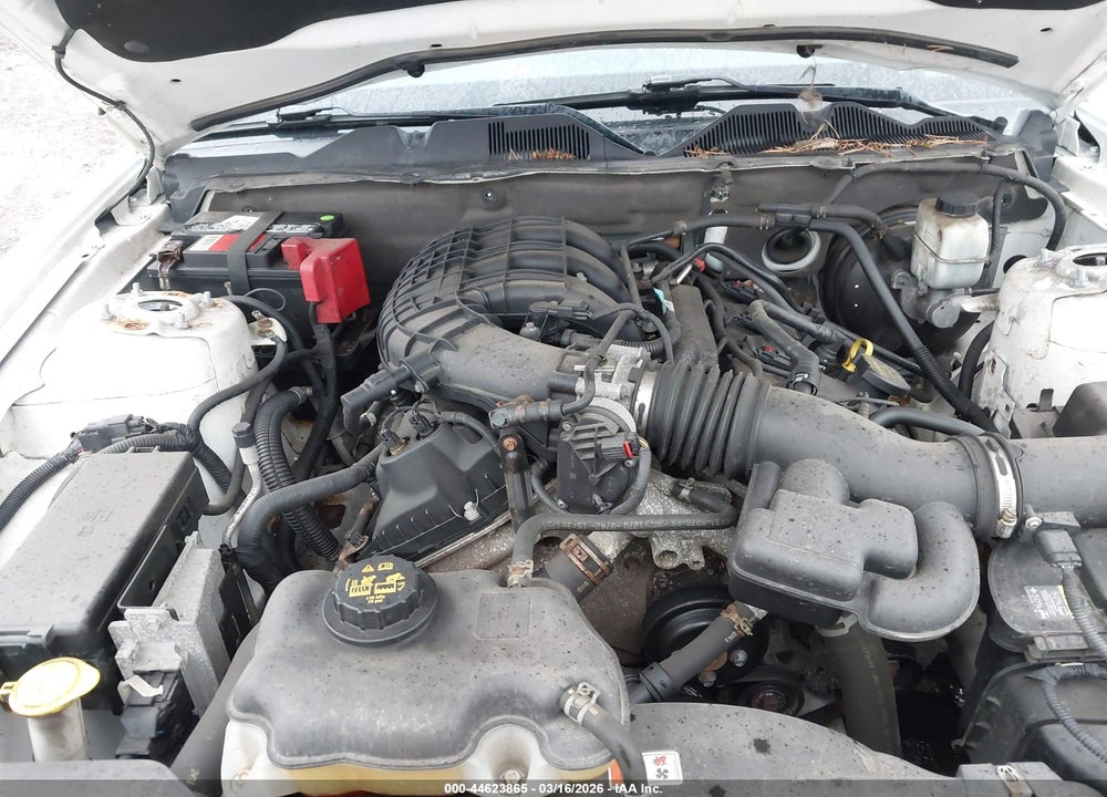 2011 FORD MUSTANG V6/V6 PREMIUM VIN: 1ZVBP8AMXB5125188