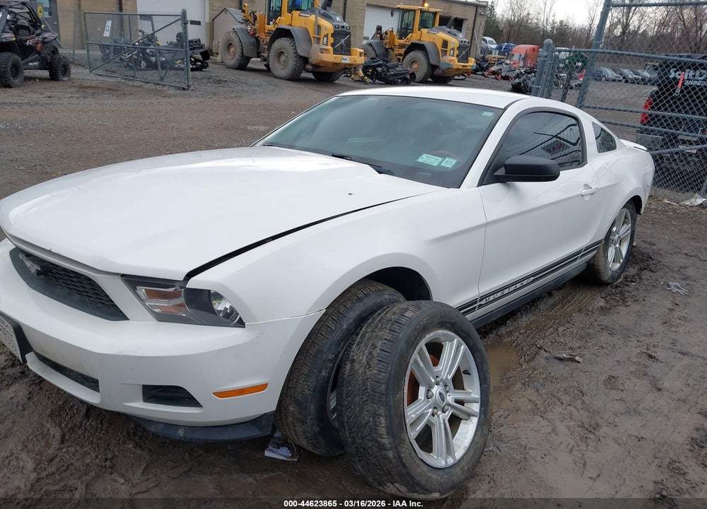 2011 FORD MUSTANG V6/V6 PREMIUM VIN: 1ZVBP8AMXB5125188