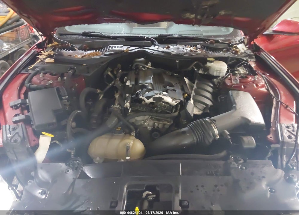 2019 FORD MUSTANG ECOBOOST VIN: 1FA6P8THXK5112516