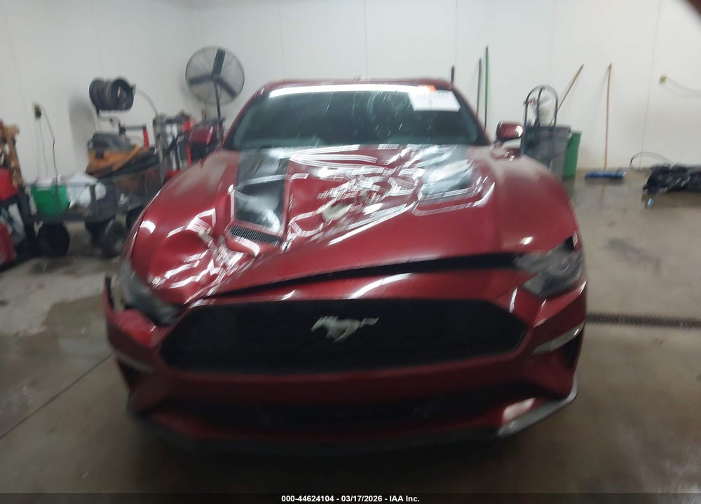 2019 FORD MUSTANG ECOBOOST VIN: 1FA6P8THXK5112516