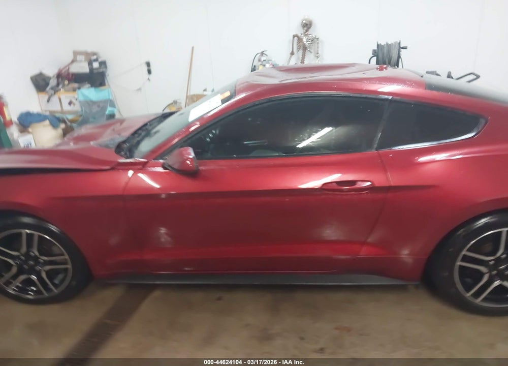 2019 FORD MUSTANG ECOBOOST VIN: 1FA6P8THXK5112516