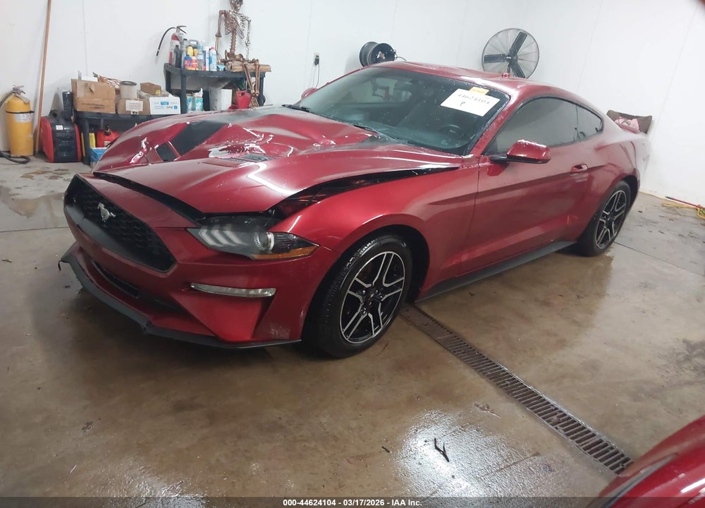 2019 FORD MUSTANG ECOBOOST VIN: 1FA6P8THXK5112516