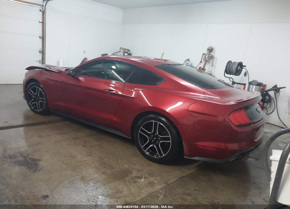 2019 FORD MUSTANG ECOBOOST VIN: 1FA6P8THXK5112516