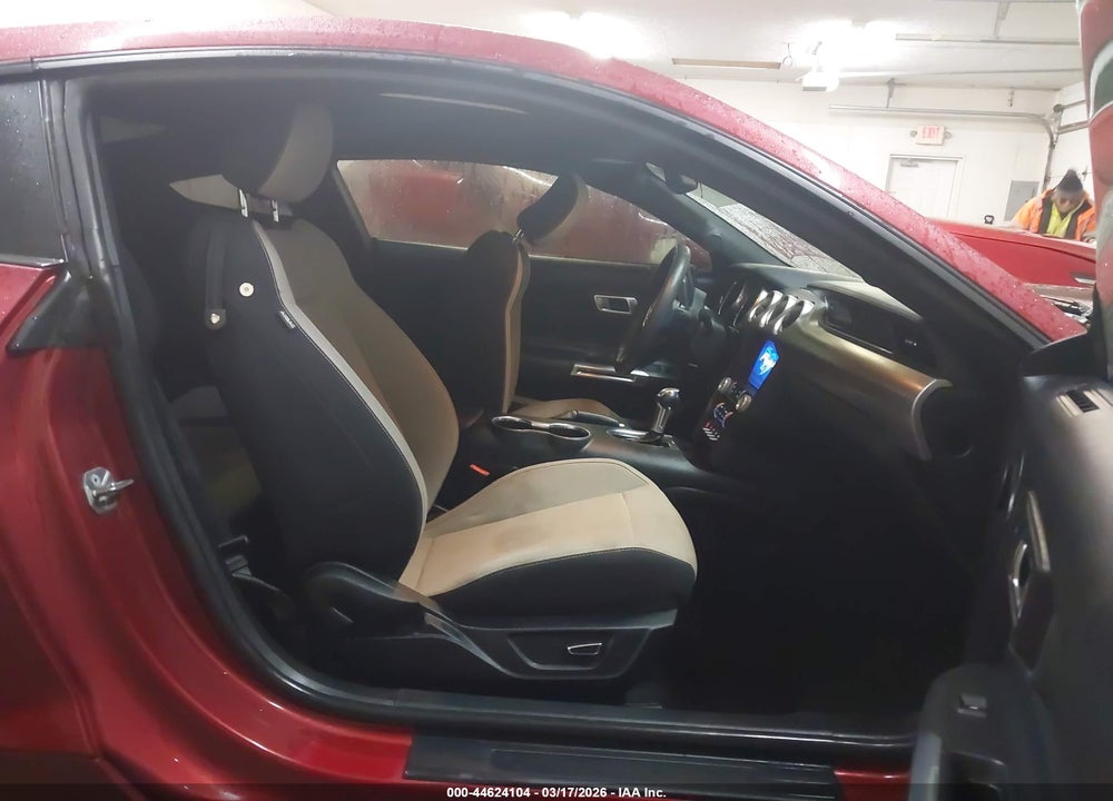 2019 FORD MUSTANG ECOBOOST VIN: 1FA6P8THXK5112516