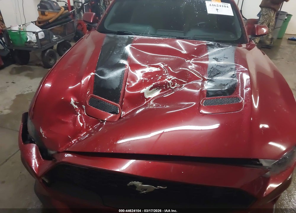 2019 FORD MUSTANG ECOBOOST VIN: 1FA6P8THXK5112516