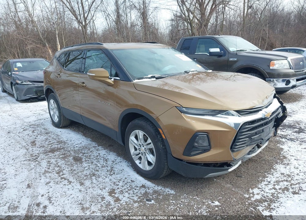 2019 CHEVROLET BLAZER VIN: 3GNKBGRS9KS642266