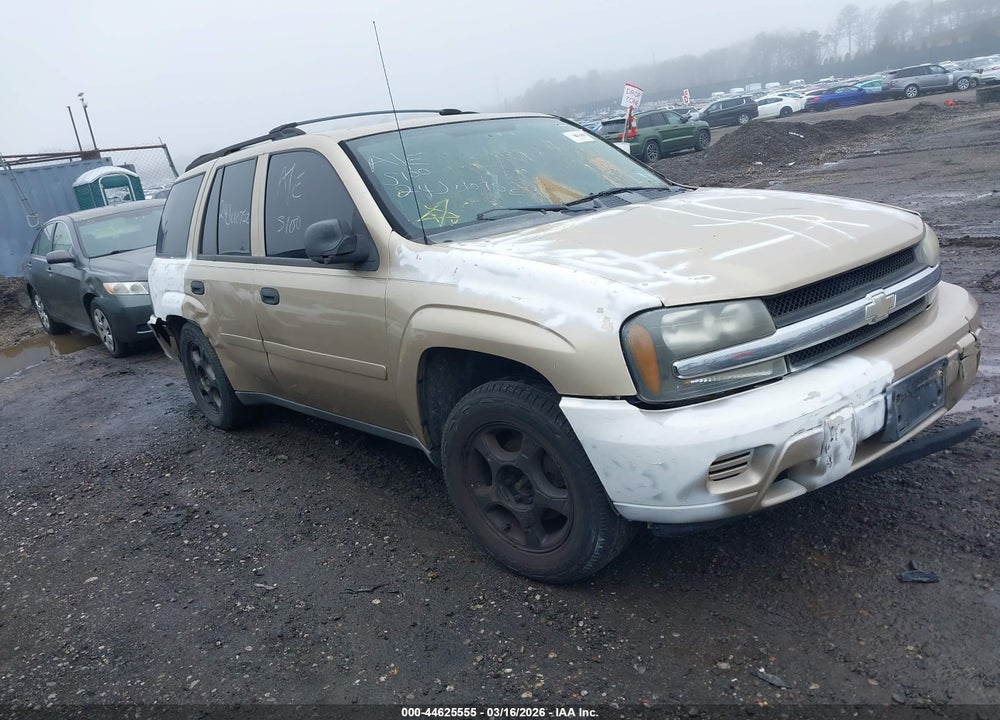 2006 CHEVROLET TRAILBLAZER LS VIN: 1GNDT13S962340361