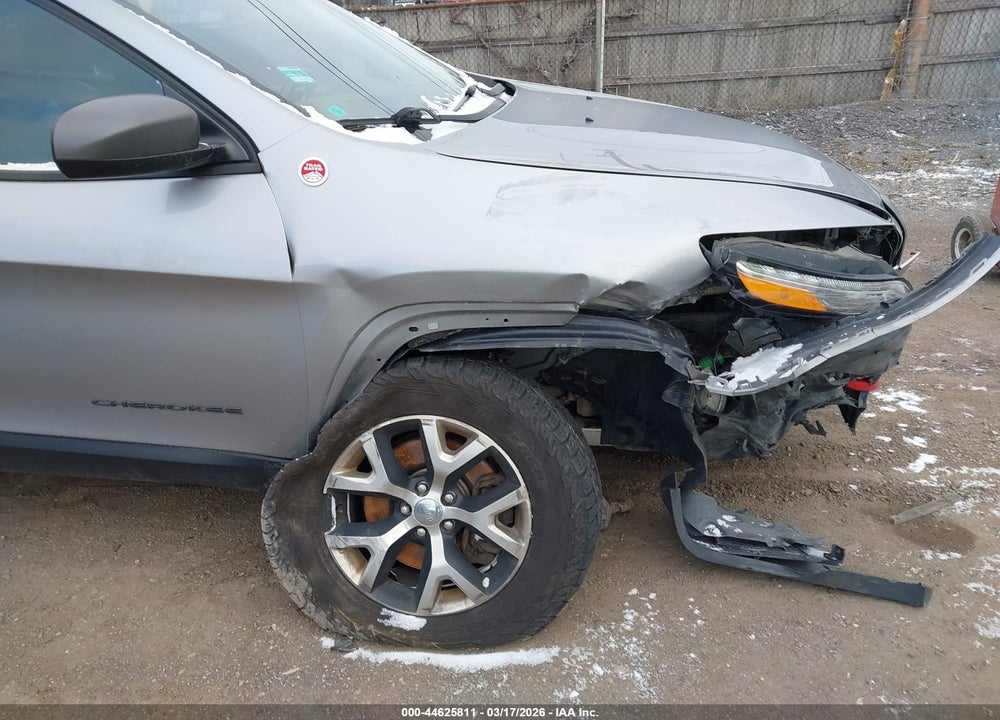 2017 JEEP CHEROKEE TRAILHAWK VIN: 1C4PJMBS3HW558029
