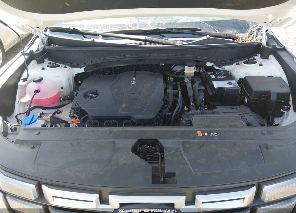 2025 HYUNDAI SANTA CRUZ SEL ACTIVITY VIN: 5NTJC4DE4SH132954