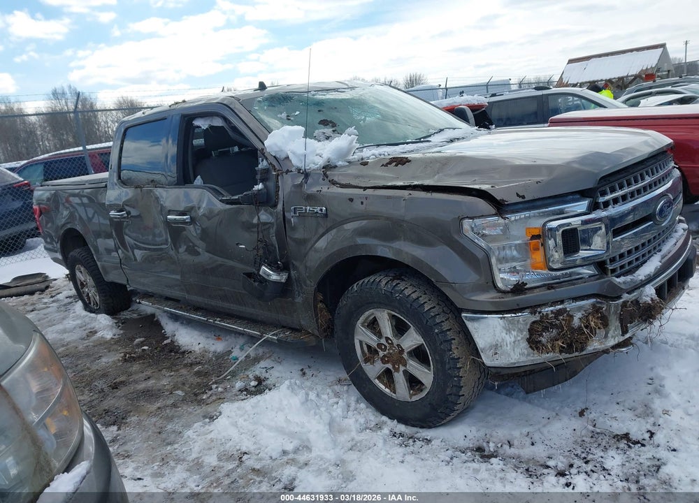 2019 FORD F-150 XLT VIN: 1FTFW1E47KFB10148