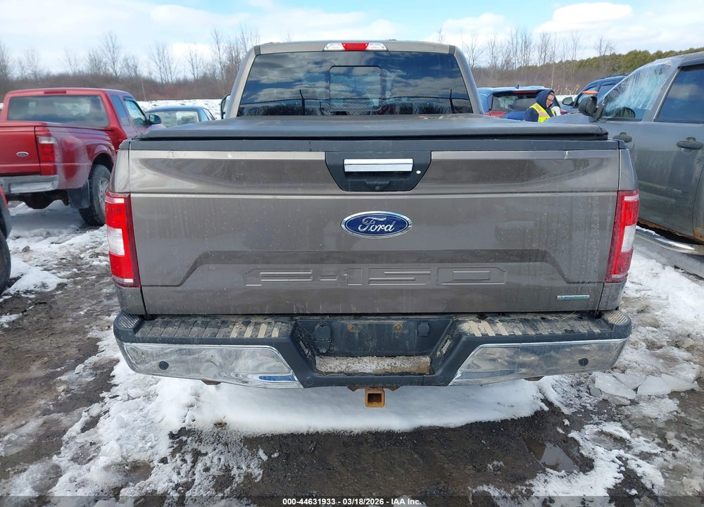 2019 FORD F-150 XLT VIN: 1FTFW1E47KFB10148